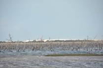 Salina próxima à Galinhos - RN